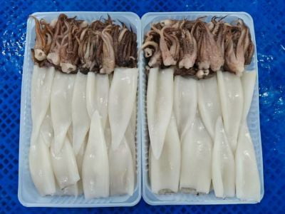 Frozen Squid Products