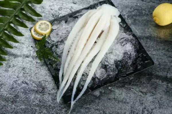 Frozen Giant Squid Products