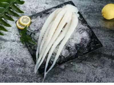 Giant Squid Products