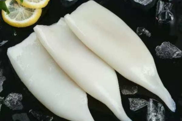 Squid Fillet Products