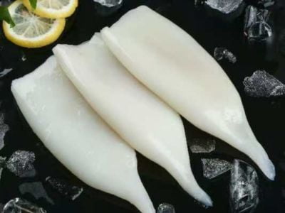 Squid Fillet Products